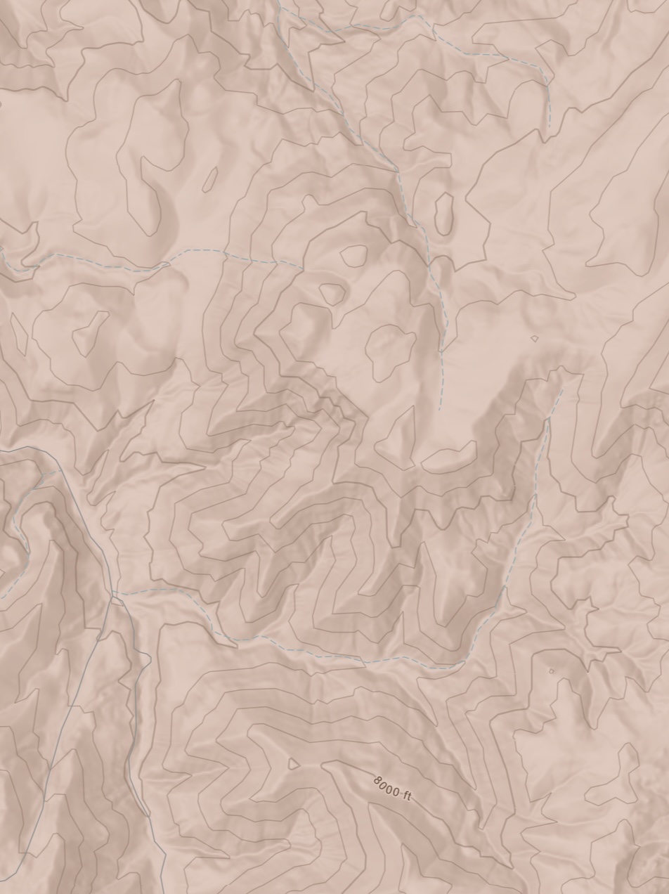 background topo image