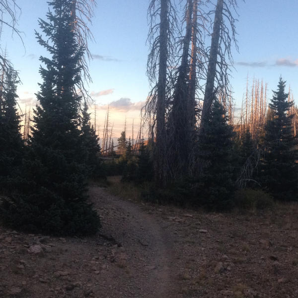 Featured image for “Breaks Trail”