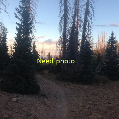 Featured image for ““C” Trail”